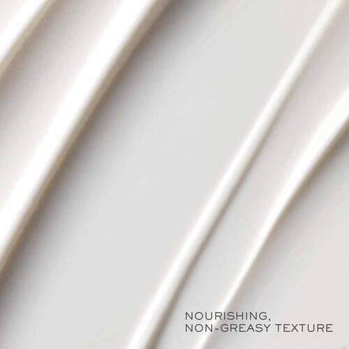 Absolue Premium βx Day Cream with SPF 15