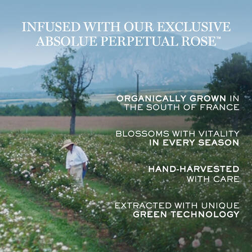 Absolue Soft Cream Moisturizer