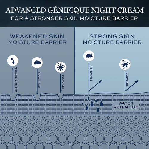 Advanced Génifique Night Cream