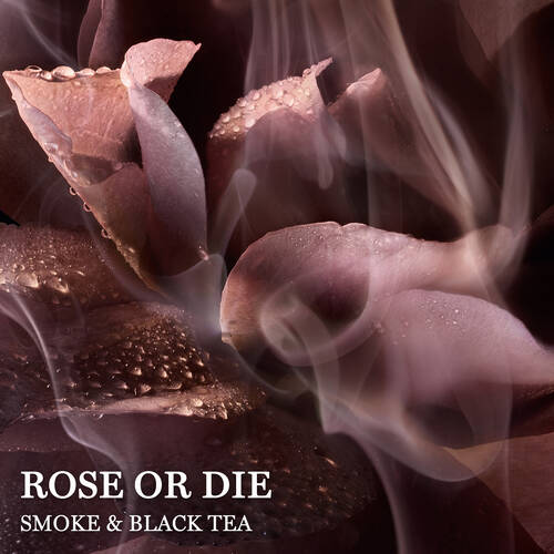 Rose Or Die 3 Rose Or Die