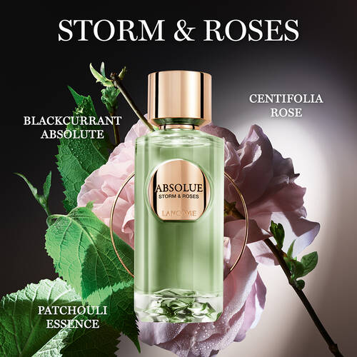 Storm & Roses